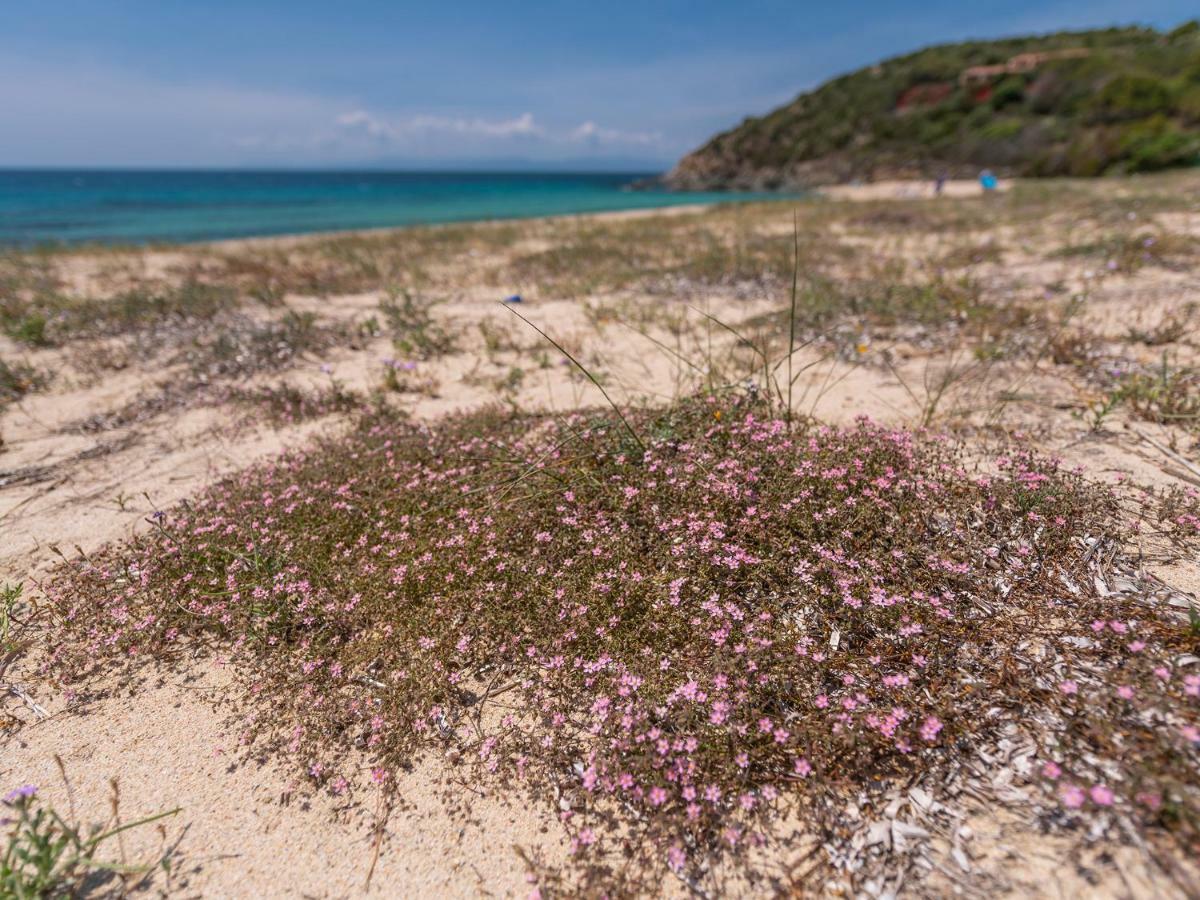 Sardinia Spa Apartment Geremèas Eksteriør billede
